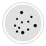 Inflamed Acne