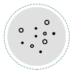 Non-Inflamed Acne
